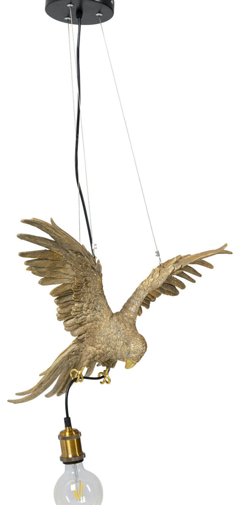 animal_parrot_papukaija_riippuvalaisin_cm_4.webp Riippuvalaisimet>KARE Design Animal Parrot Papukaija Riippuvalaisin 60cm