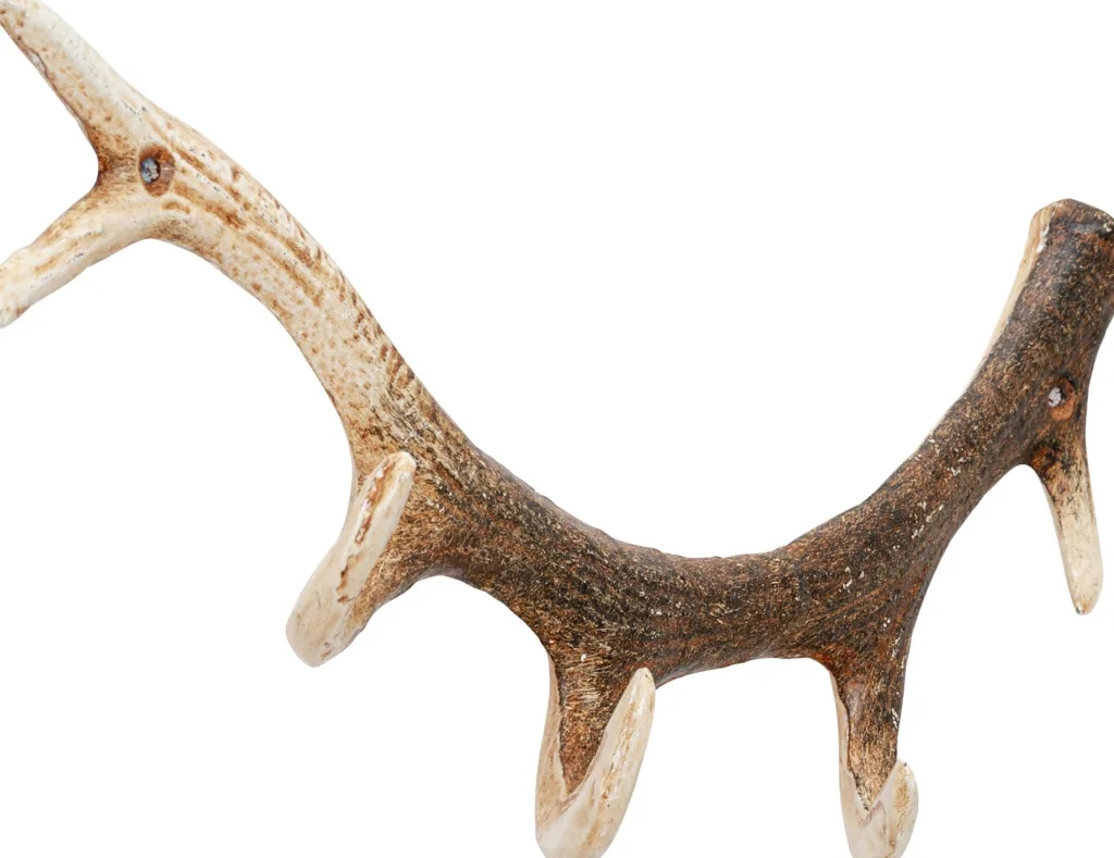 antler_nature_sarvet_seinnaulakko_cm_0.webp Seinänaulakot>KARE Design Antler Nature Sarvet Seinänaulakko 35cm