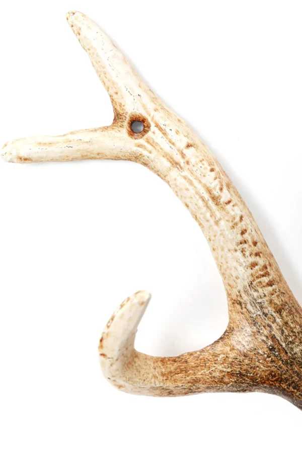 Seinänaulakot>KARE Design Antler Nature Sarvet Seinänaulakko 35cm