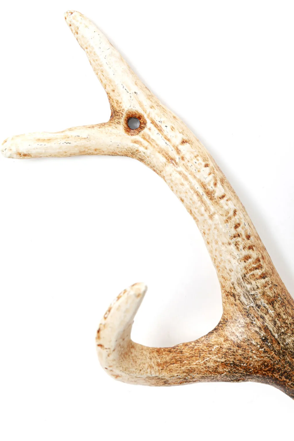 antler_nature_sarvet_seinnaulakko_cm_2.webp Seinänaulakot>KARE Design Antler Nature Sarvet Seinänaulakko 35cm
