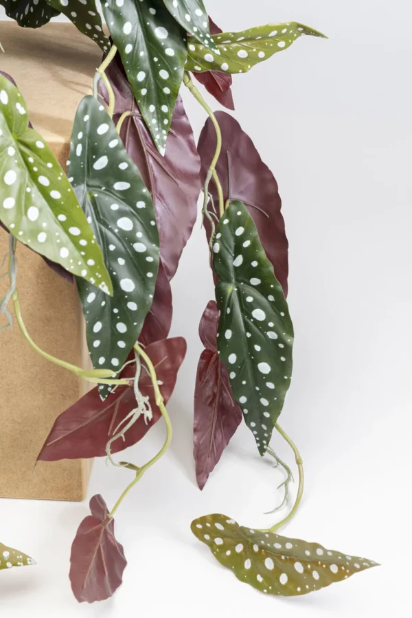 Tekokasvit>KARE Design Begonia Tekokasvi 45cm