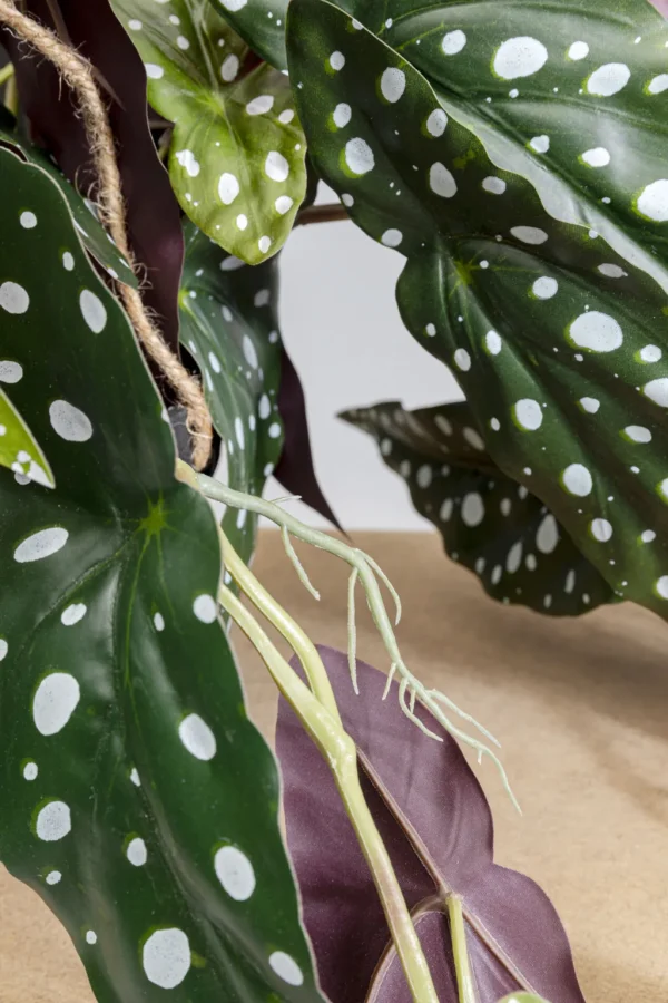 Tekokasvit>KARE Design Begonia Tekokasvi 45cm