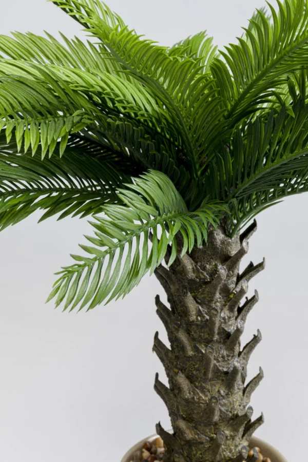 Tekokasvit>KARE Design Cycas Tekokasvi 70cm
