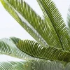 Tekokasvit>KARE Design Cycas Tree Tekokasvi 78cm
