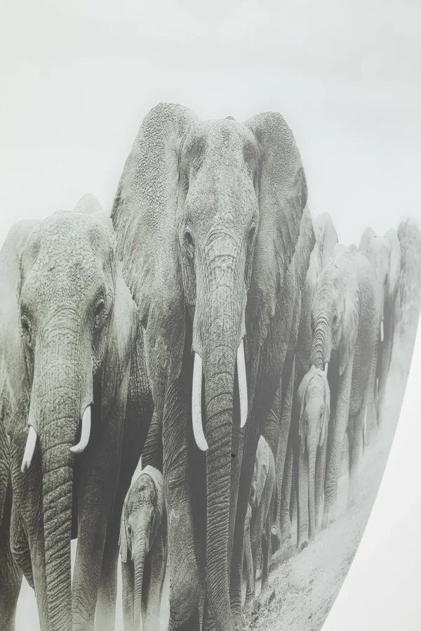 Taulut>KARE Design Elephant Walk - Elefantit, Pyöreä Lasitaulu Ø120cm