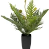 Tekokasvit>KARE Design Farn Saniaininen Tekokasvi 55cm
