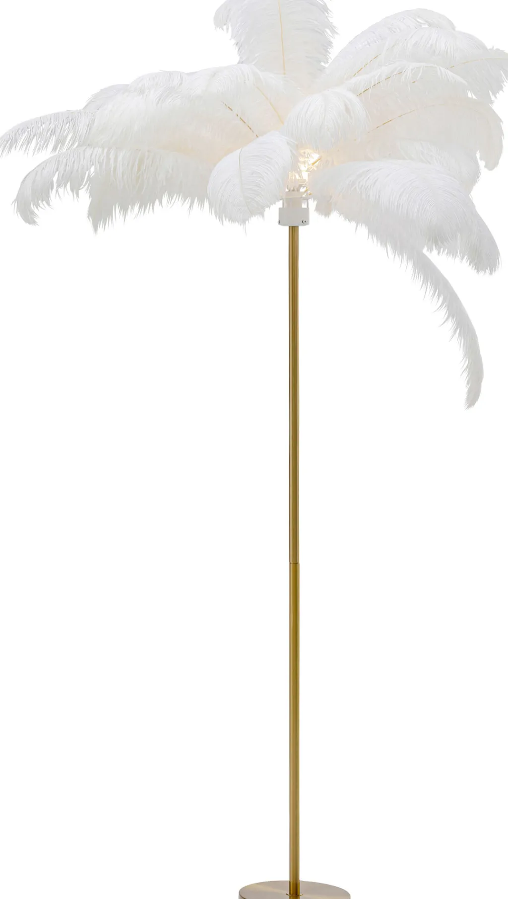 feather_palm_lattiavalaisin_valkoinen_cm_1.webp Lattiavalaisimet>KARE Design Feather Palm Lattiavalaisin Valkoinen 165cm