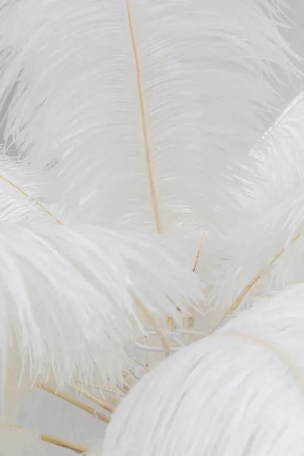 Lattiavalaisimet>KARE Design Feather Palm Lattiavalaisin Valkoinen 165cm