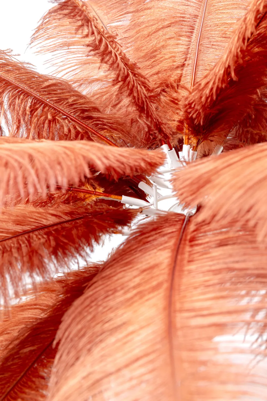 feather_palm_pytvalaisin_ruosteenpunainen_cm_4.webp Pöytävalaisimet>KARE Design Feather Palm Pöytävalaisin, Ruosteenpunainen 60cm
