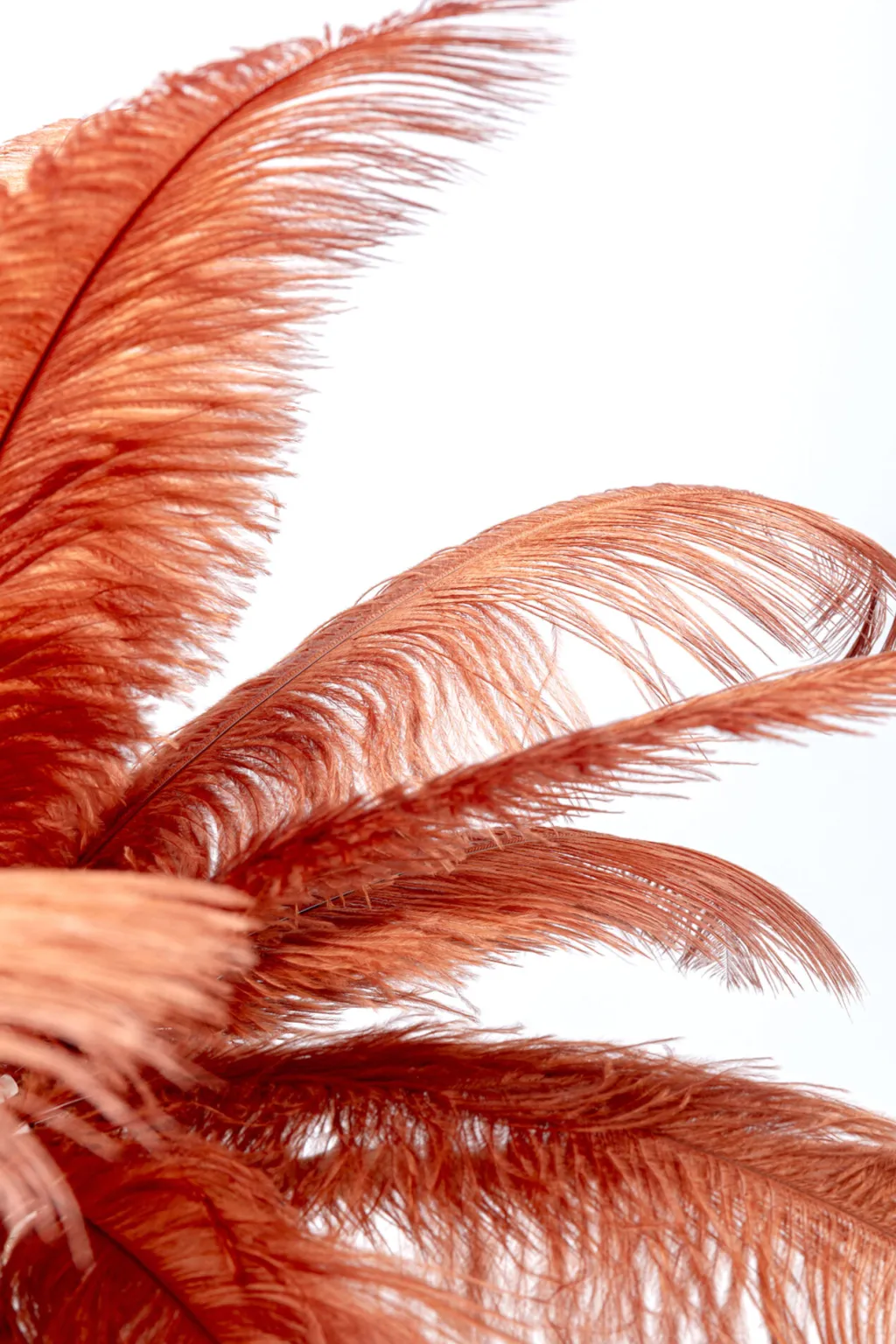 feather_palm_pytvalaisin_ruosteenpunainen_cm_6.webp Pöytävalaisimet>KARE Design Feather Palm Pöytävalaisin, Ruosteenpunainen 60cm