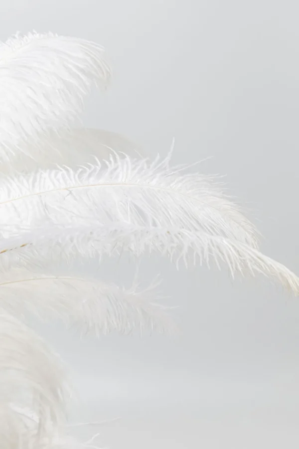 Pöytävalaisimet>KARE Design Feather Palm Pöytävalaisin Valkoinen 60cm