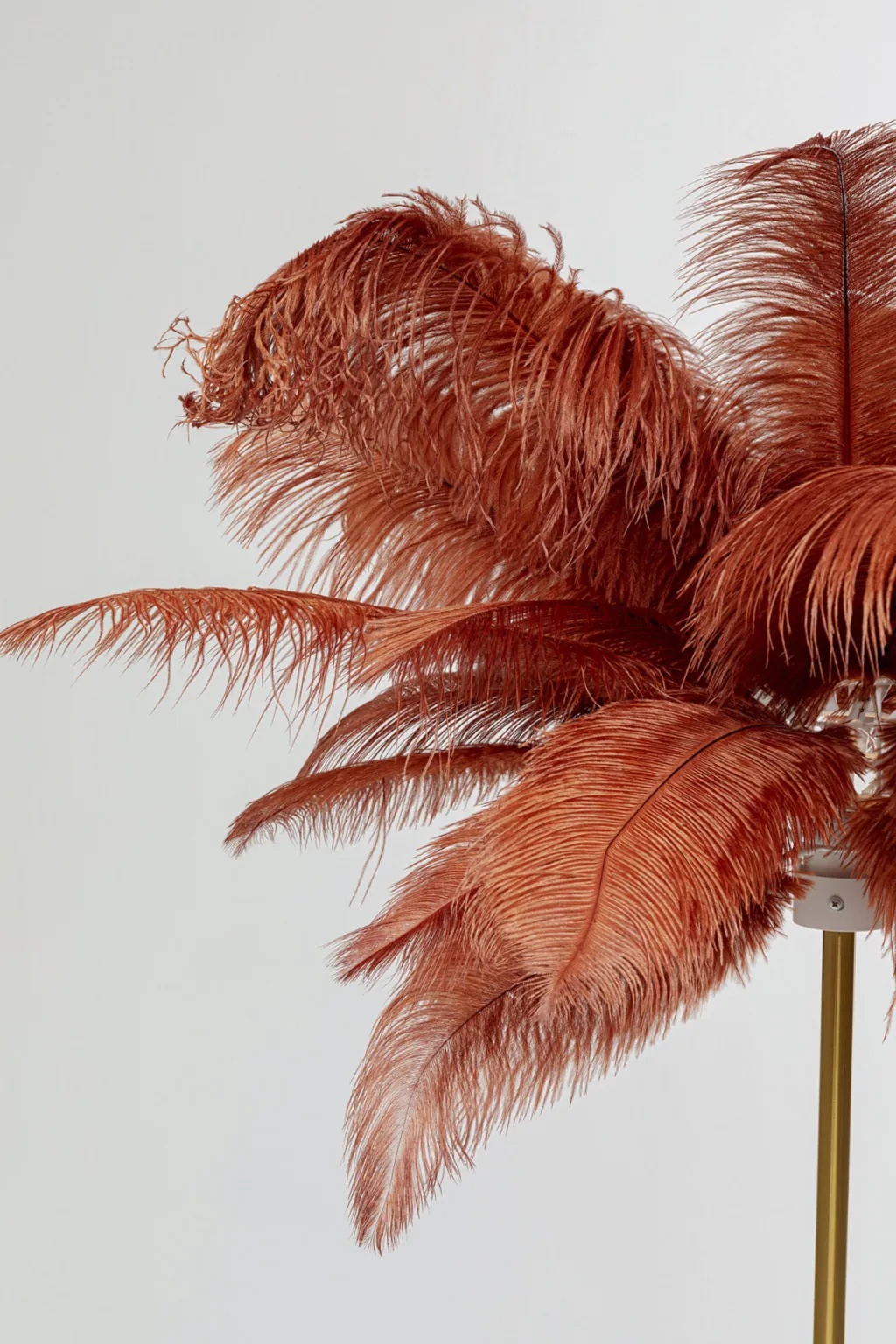 feather_palm_sulat_lattiavalaisin_ruosteenpunainen_cm_1.webp Lattiavalaisimet>KARE Design Feather Palm, Sulat Lattiavalaisin, Ruosteenpunainen, 165cm