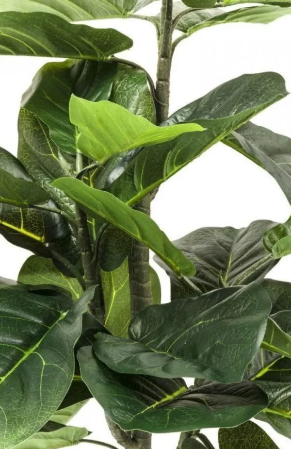 Tekokasvit>KARE Design Fiddle Leaf Tekokasvi 120cm