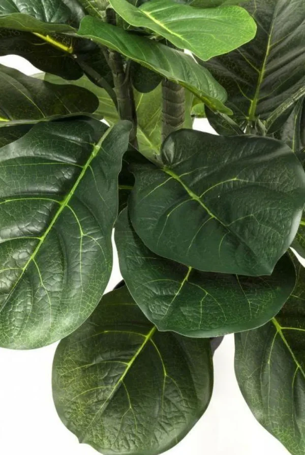 Tekokasvit>KARE Design Fiddle Leaf Tekokasvi 120cm