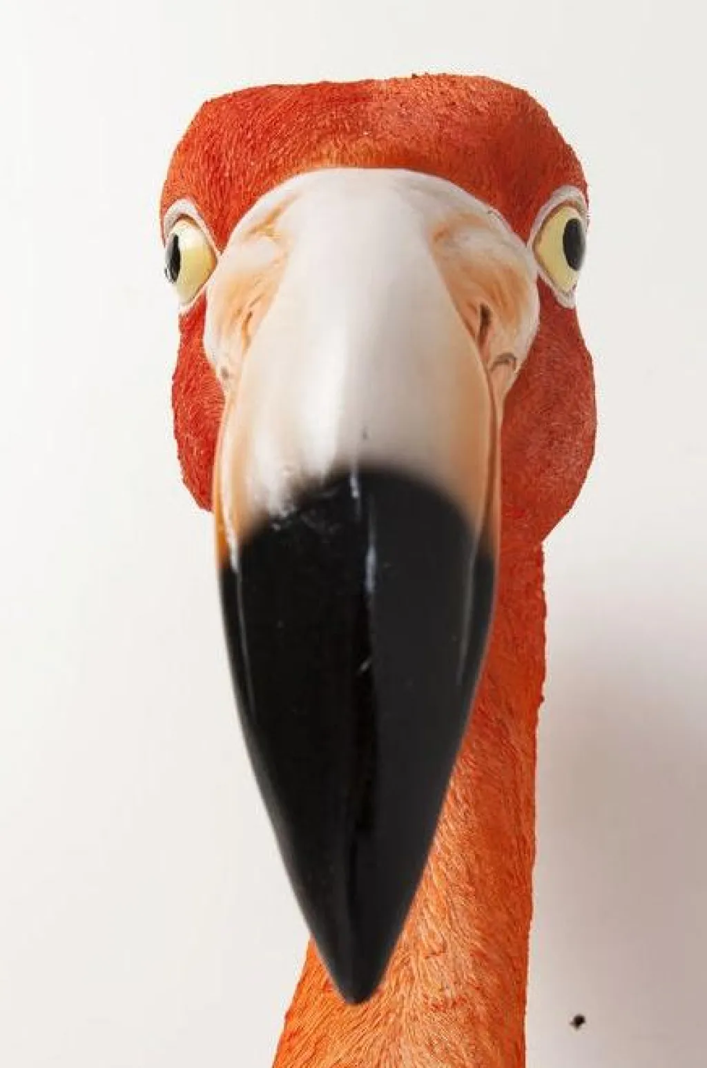 flamingo_road_seinkoriste_cm_3.webp Seinäkoristeet>KARE Design Flamingo Road Seinäkoriste 72cm