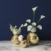 Olohuone>KARE Design Goldy Maljakko 11cm