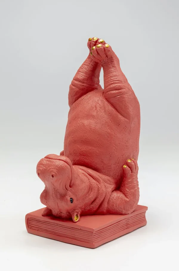 Kirjatuet>KARE Design Hippo Pink Kirjatuet (2/Setti)