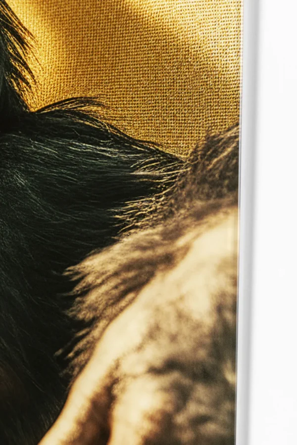 Taulut | Olohuone>KARE Design Holiday Monkey Apina Lasitaulu 80x60cm