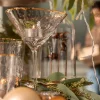 Viinilasit | Lasit>KARE Design Hommage Coktaillasi