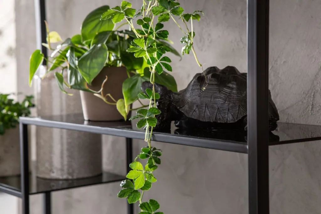 loft_hylly_musta_xcm_20.webp Olohuone | Hyllyt>KARE Design Loft Hylly, Musta 115x195cm