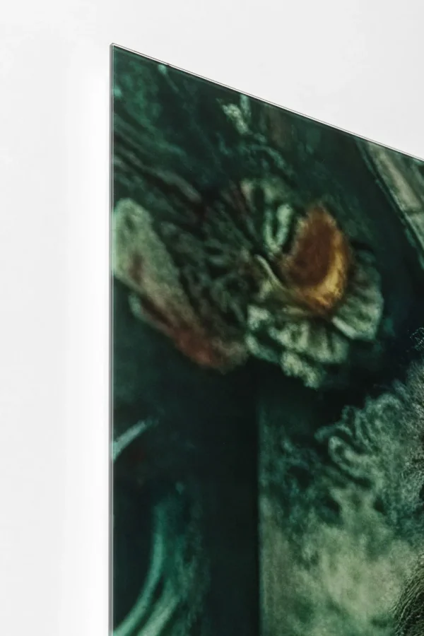 Taulut>KARE Design Mister Lion Leijona Lasitaulu 150x100cm