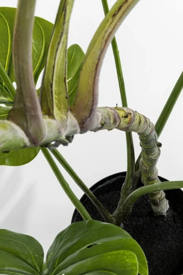 Tekokasvit>KARE Design Monstera Tekokasvi 110cm