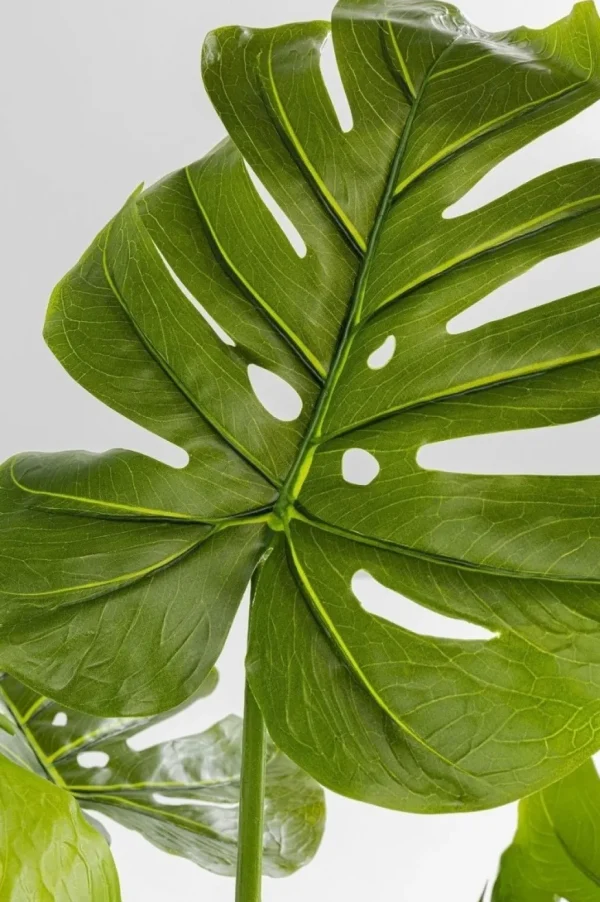 Tekokasvit>KARE Design Monstera Tekokasvi 110cm