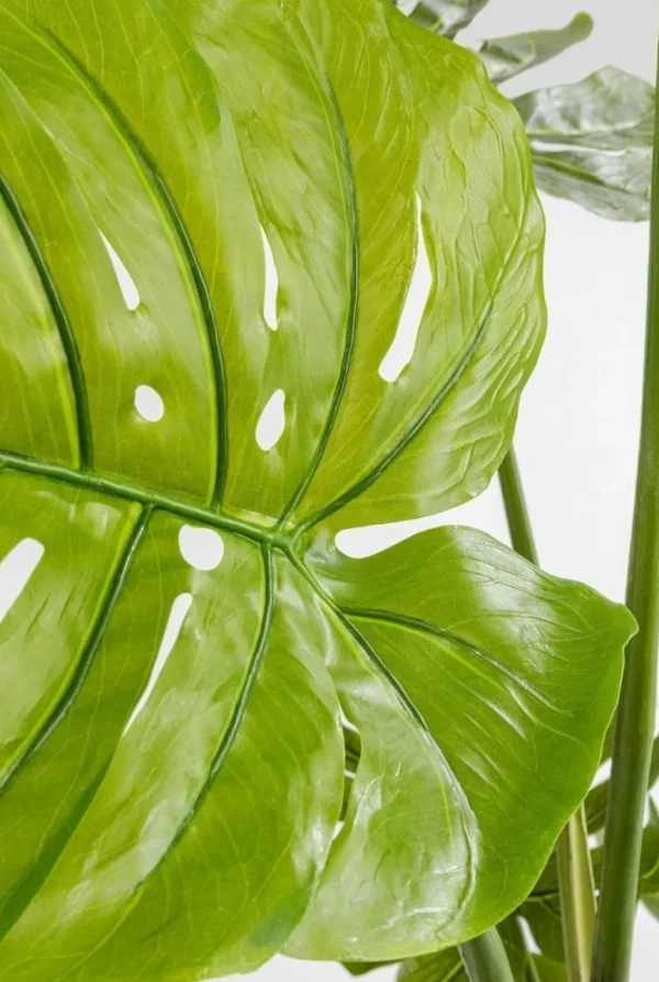 Tekokasvit>KARE Design Monstera Tekokasvi 110cm