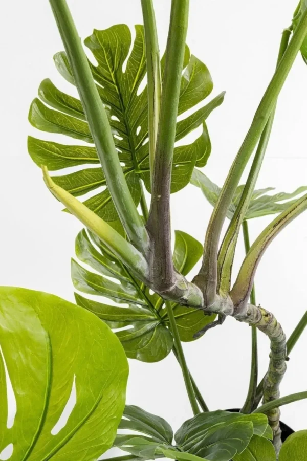 Tekokasvit>KARE Design Monstera Tekokasvi 110cm