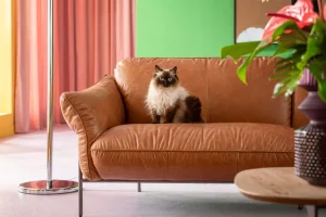 Sohvat | Olohuone>KARE Design Napa Nahkasohva, Ruskea 226cm