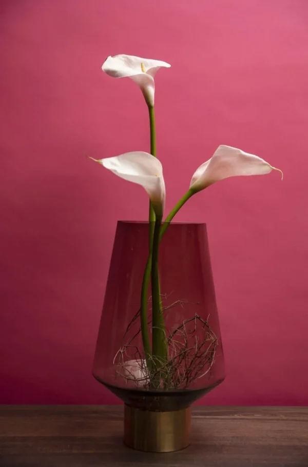 Maljakot>KARE Design Noble Ring Maljakko, Ruskea 40cm