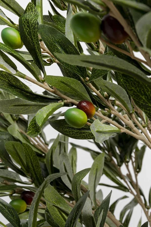 Tekokasvit>KARE Design Olive Tree Oliivipuu Tekokasvi 120cm