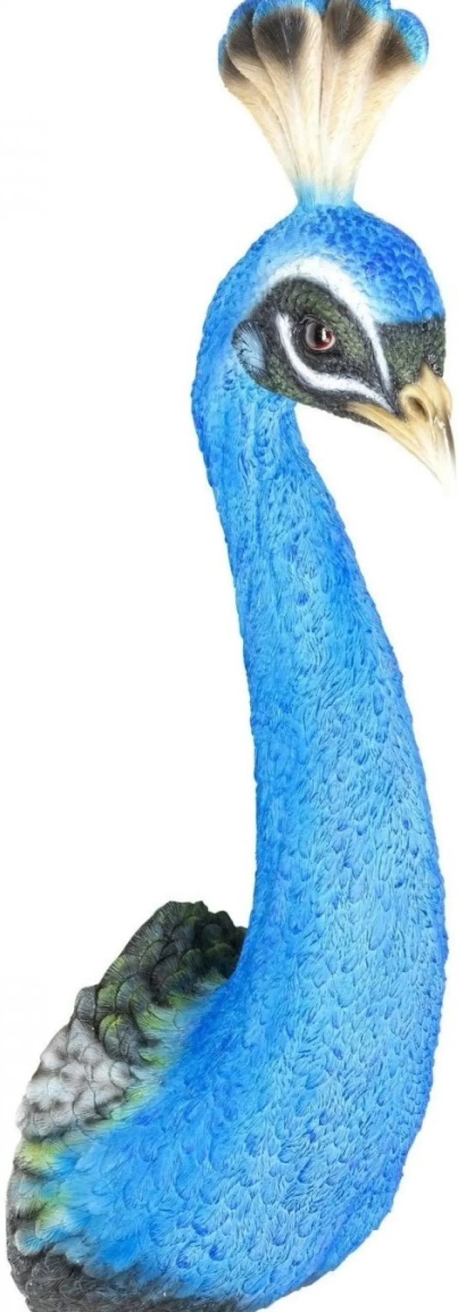 peacock_riikinkukko_seinkoriste_0.webp Seinäkoristeet>KARE Design Peacock Riikinkukko Seinäkoriste