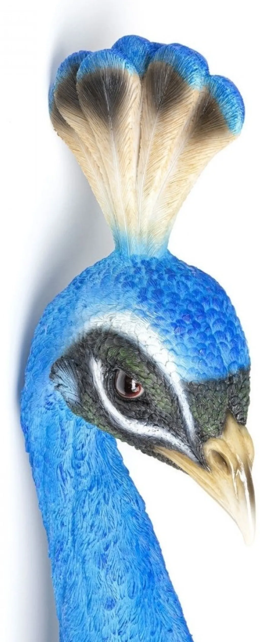 peacock_riikinkukko_seinkoriste_1.webp Seinäkoristeet>KARE Design Peacock Riikinkukko Seinäkoriste