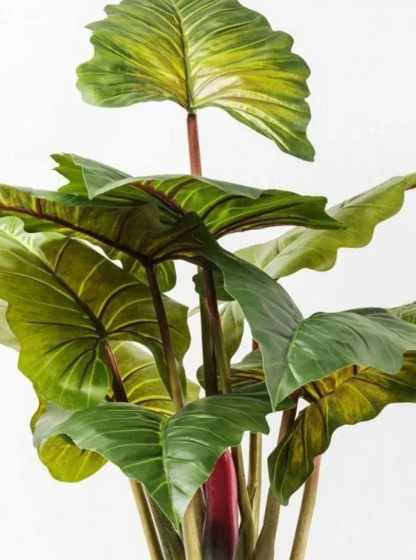 Tekokasvit>KARE Design Rainforest Green Tekokasvi 160cm