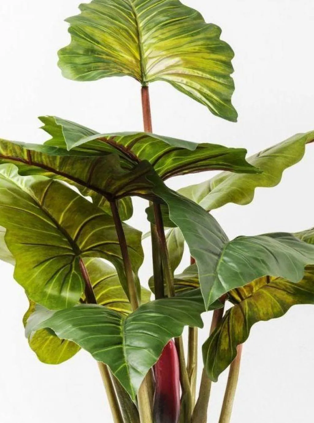 rainforest_green_tekokasvi_cm_2.webp Tekokasvit>KARE Design Rainforest Green Tekokasvi 160cm