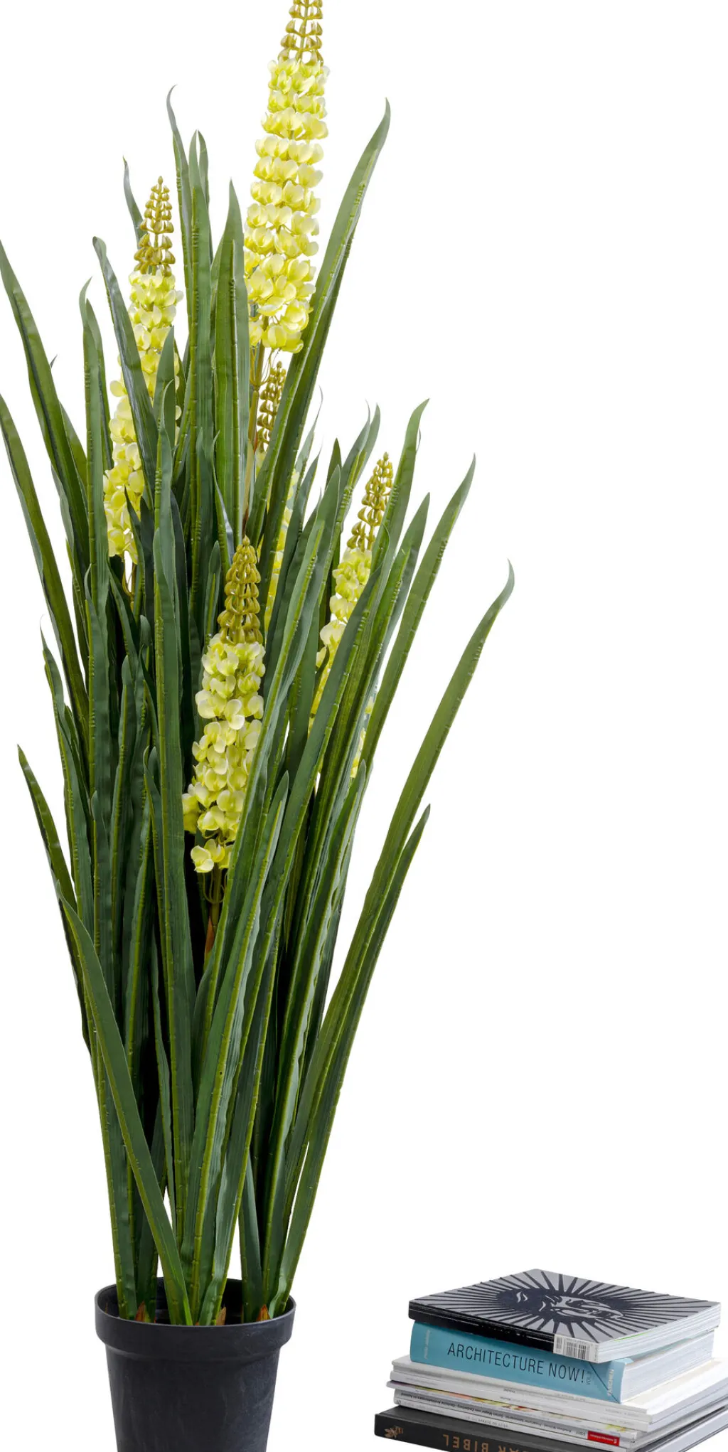 rhynchostylis_tekokasvi_cm_0.webp Tekokasvit>KARE Design Rhynchostylis Tekokasvi 150cm