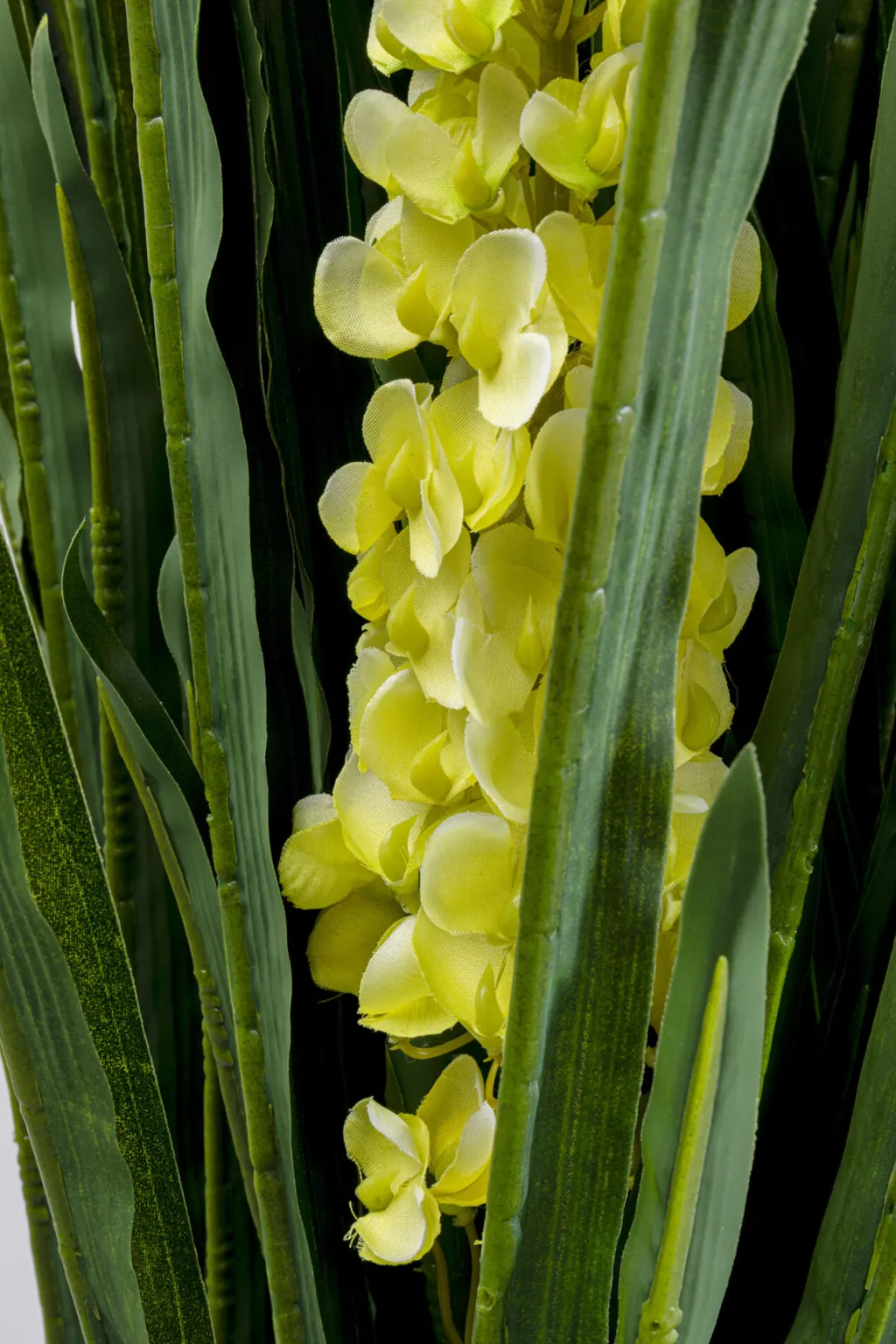 rhynchostylis_tekokasvi_cm_1.webp Tekokasvit>KARE Design Rhynchostylis Tekokasvi 150cm