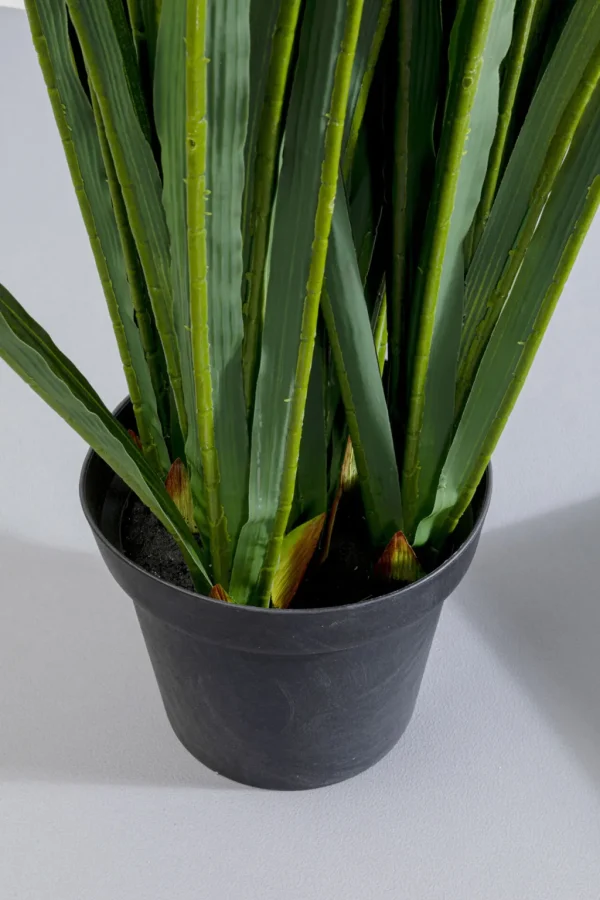 Tekokasvit>KARE Design Rhynchostylis Tekokasvi 150cm