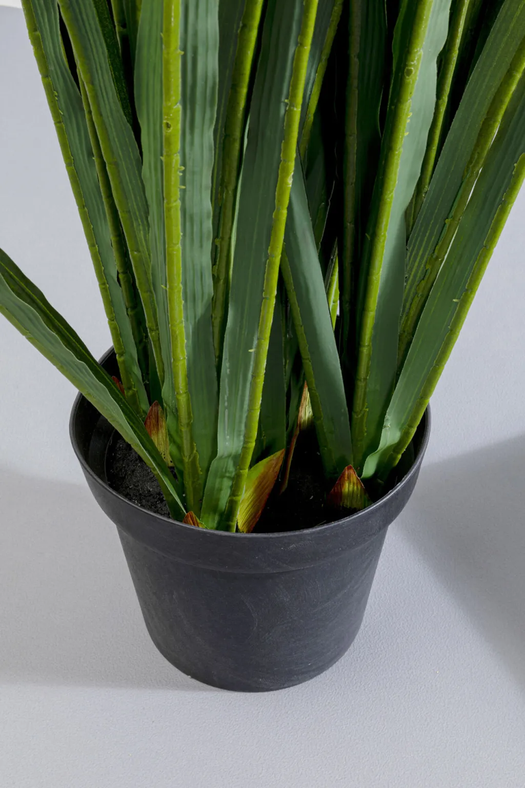 rhynchostylis_tekokasvi_cm_2.webp Tekokasvit>KARE Design Rhynchostylis Tekokasvi 150cm