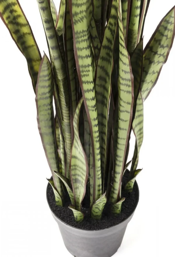 Tekokasvit>KARE Design Sansewieria Tekokasvi 155cm