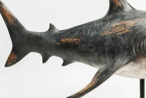 Koriste-Esineet>KARE Design Shark Base Hai Koriste-esine, 59cm