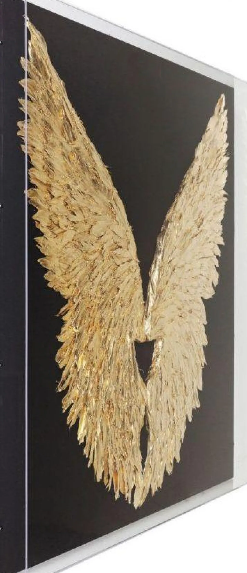 wings_siivet_seinkoriste_kulta_musta_xcm_0.webp Seinäkoristeet>KARE Design Wings Siivet Seinäkoriste- Kulta, Musta 120x120cm